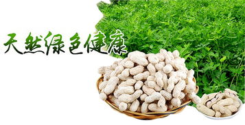 區塊鏈溯源 揭開有機農產品的偽裝術，重塑食用農產品批發新生態