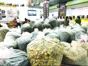 貴州黔菌產業強勢崛起 五大產業帶引領，邁入全國食用農產品批發第一梯隊