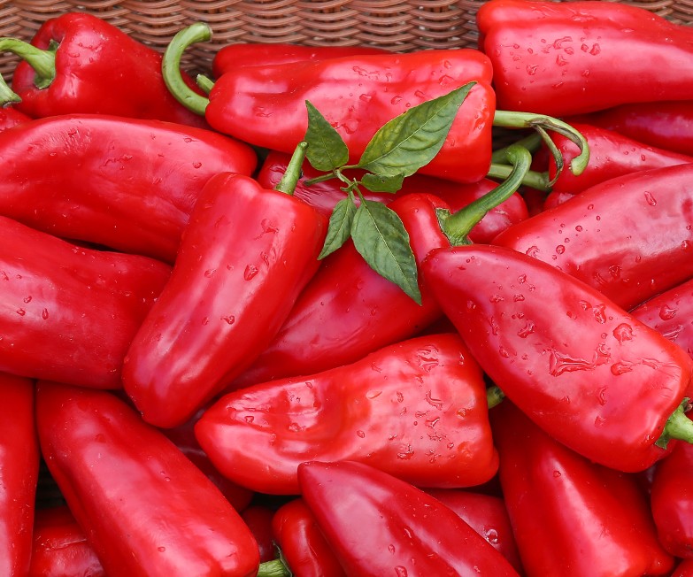 紅火饋贈 農家現摘大紅尖椒，鮮辣與甘甜的完美交融